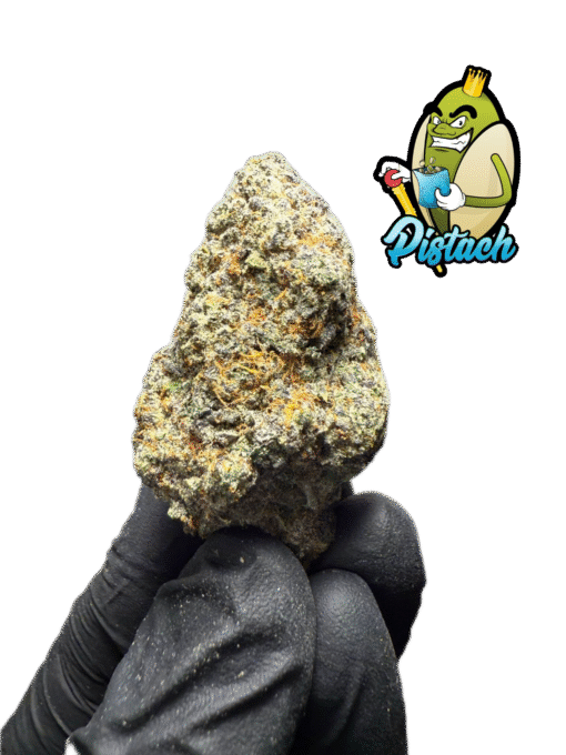 KING GLUE
