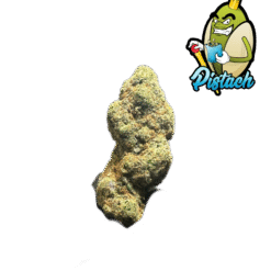 ICE GELATO