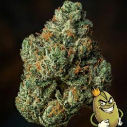 Caramel Gelato