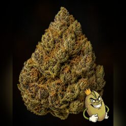 Lemon Cherry Gelato