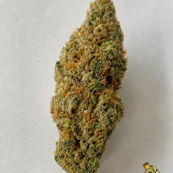 Candy Shop