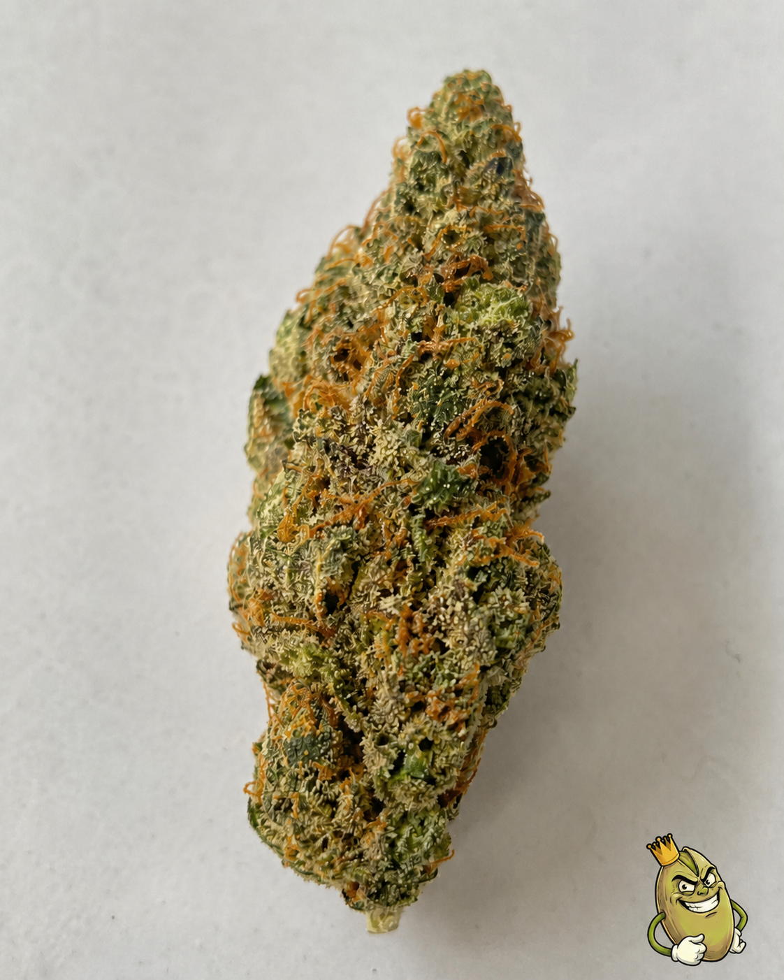 Candy Shop