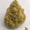 Purple Punch