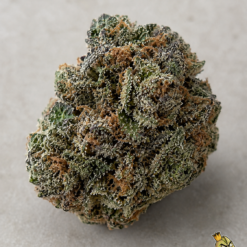 Blueberry Drip