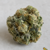China White