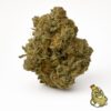 Gelato 45