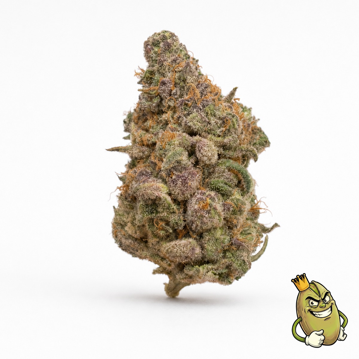 Sunset Sherbet