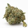 Biscotti cannabis flower, Zhawarma