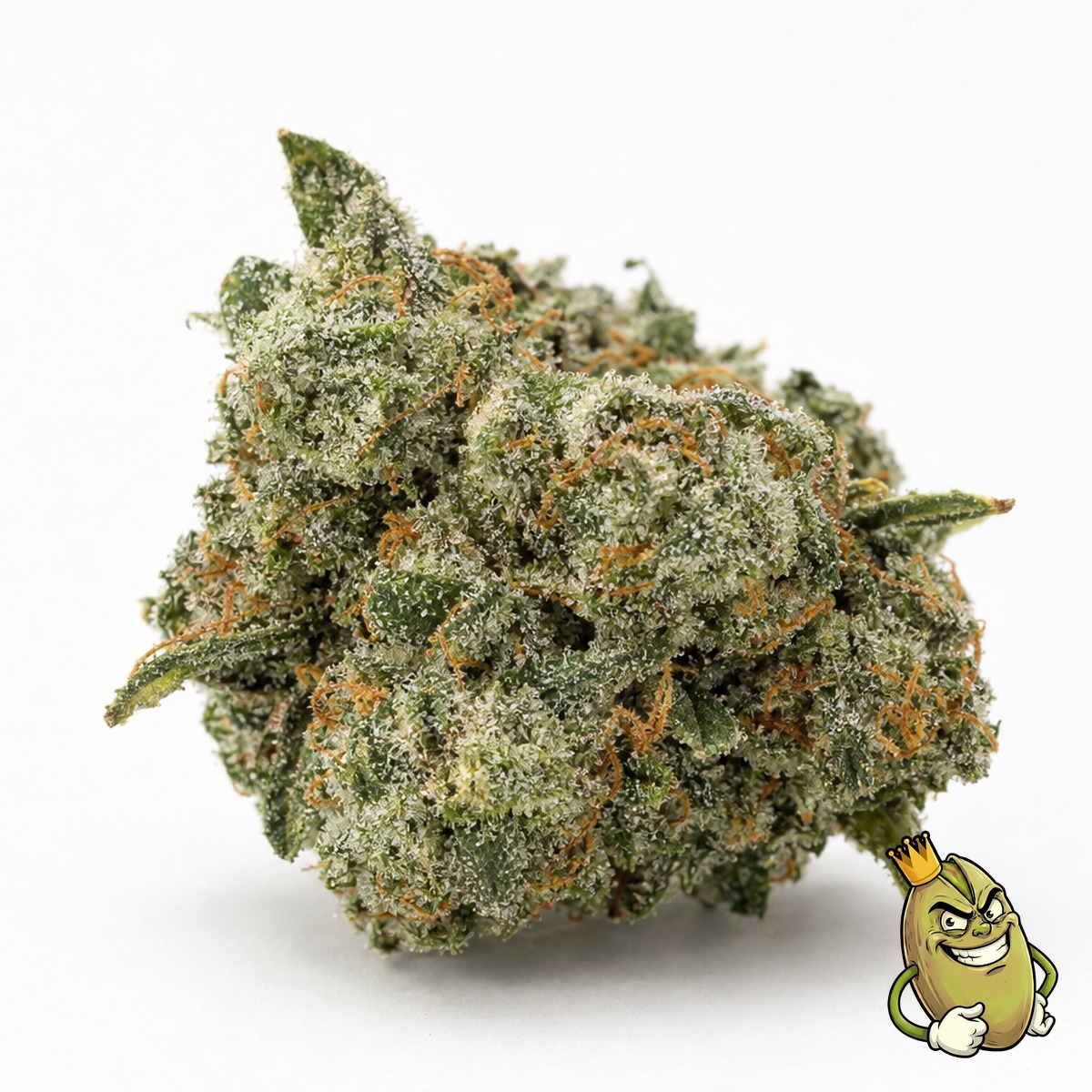 Biscotti cannabis flower, Zhawarma