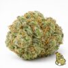 Bubble Gum cannabis flower, Zhawarma
