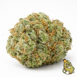Bubble Gum cannabis flower, Zhawarma
