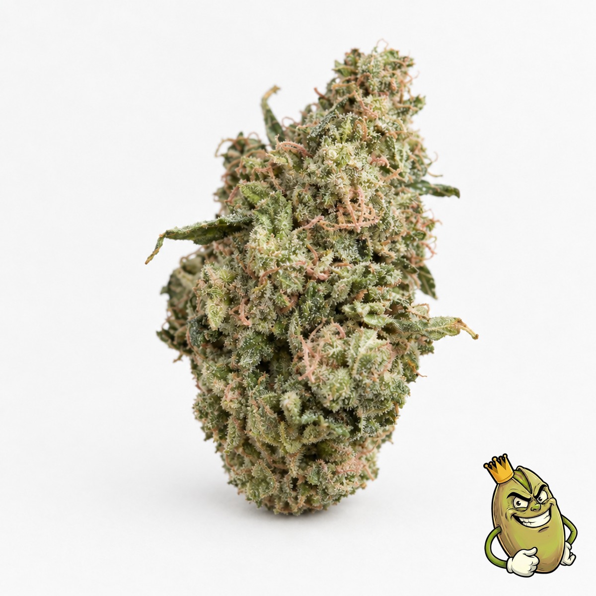 Dubble Gum