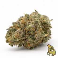 Sunset Gelato cannabis flower, Zhawarma