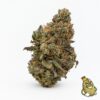 X89 Gelato 41
